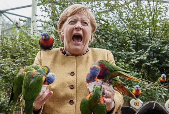 Klicken, um Bild größer zu sehen